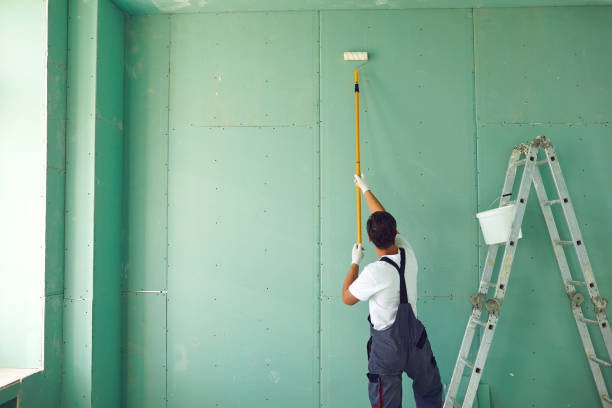 Best Mold Odor Removal Services  in Heritage Lake, IL