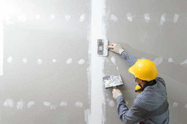 Best Biohazard Mold Removal  in Heritage Lake, IL