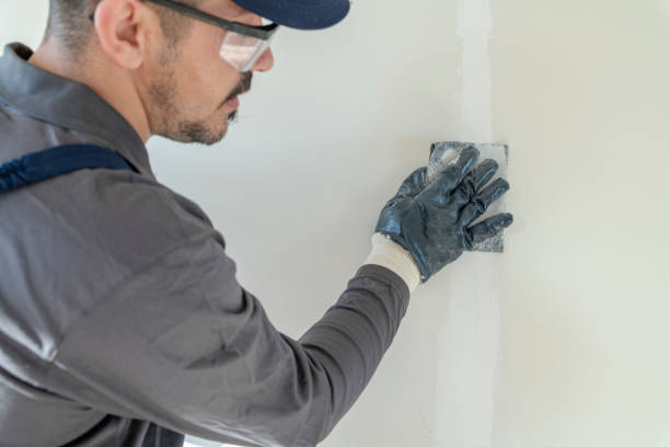 Best Industrial Mold Remediation  in Heritage Lake, IL