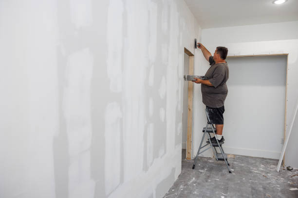 Best Water Damage & Mold Remediation  in Heritage Lake, IL
