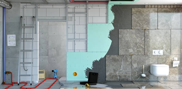 Best Attic Mold Removal  in Heritage Lake, IL