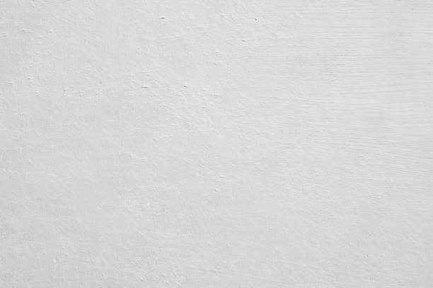 Best Emergency Mold Remediation  in Heritage Lake, IL