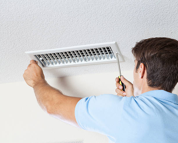  Heritage Lake, IL Mold Removal Pros