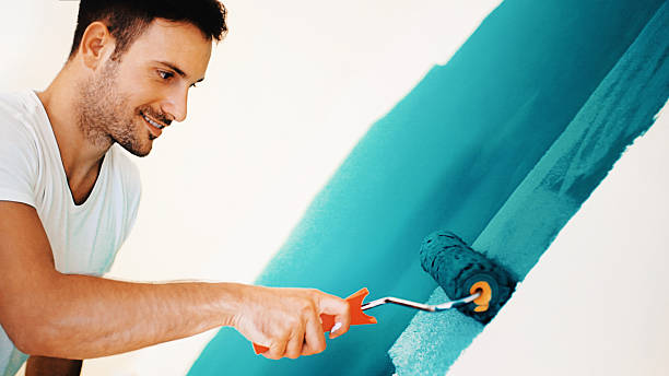Best Black Mold Removal  in Heritage Lake, IL